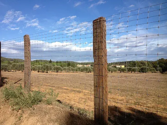 Una valla de alambre de púas rodea un campo con árboles al fondo.