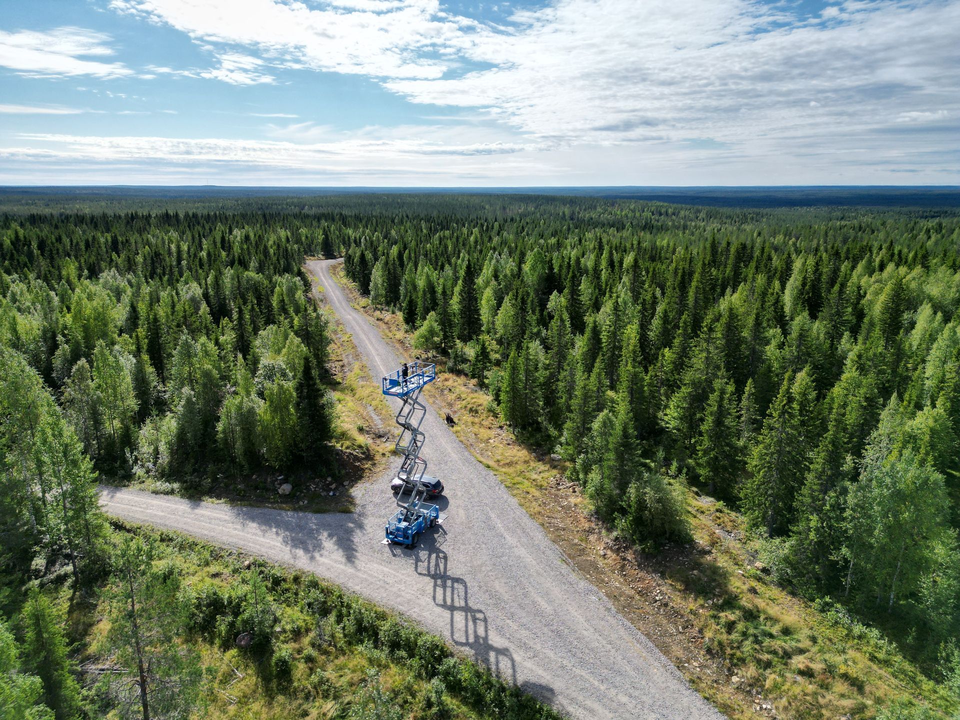 Linnustoselvitys nosturi