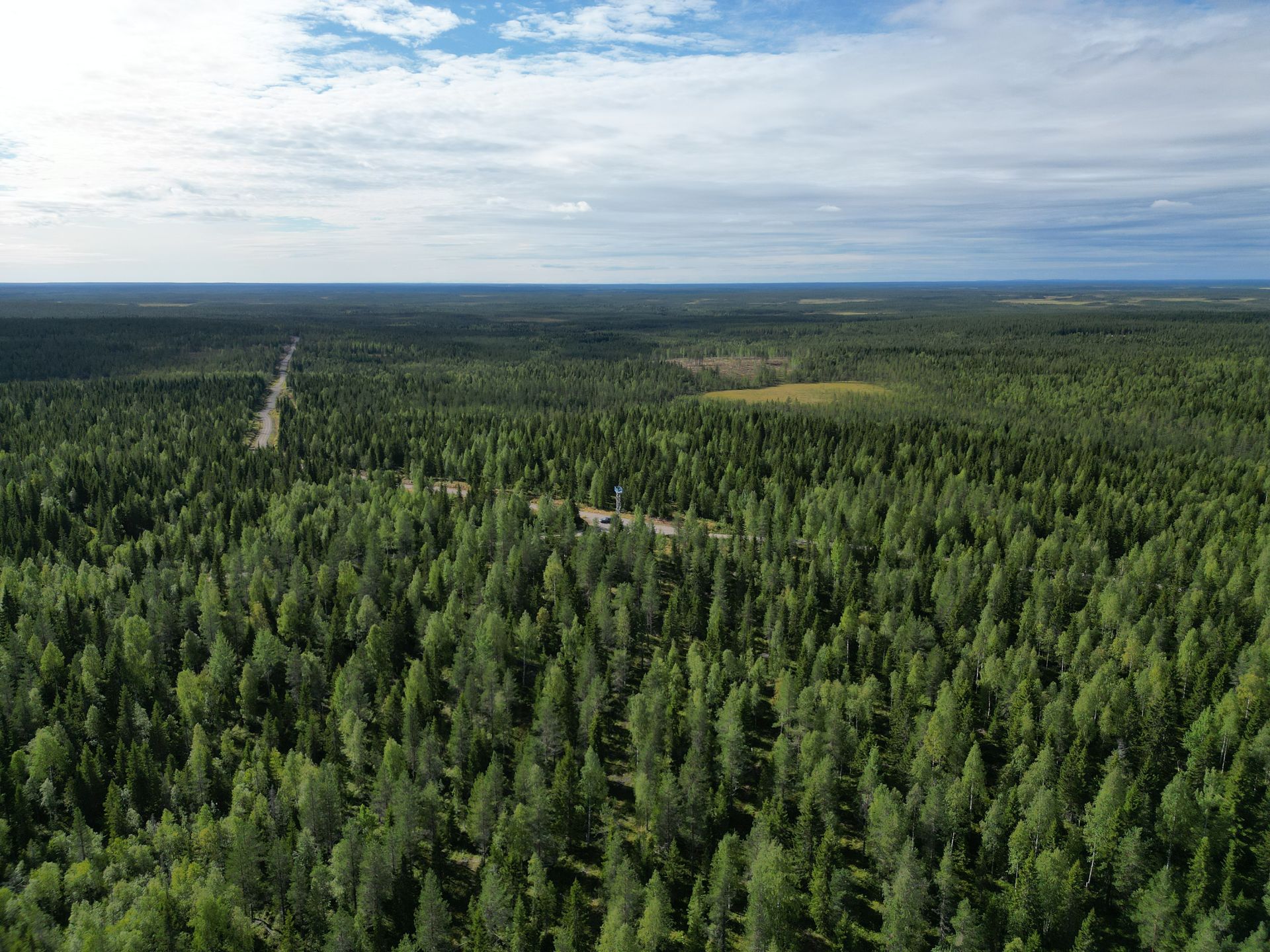 Ilmakuva linnustoselvitys