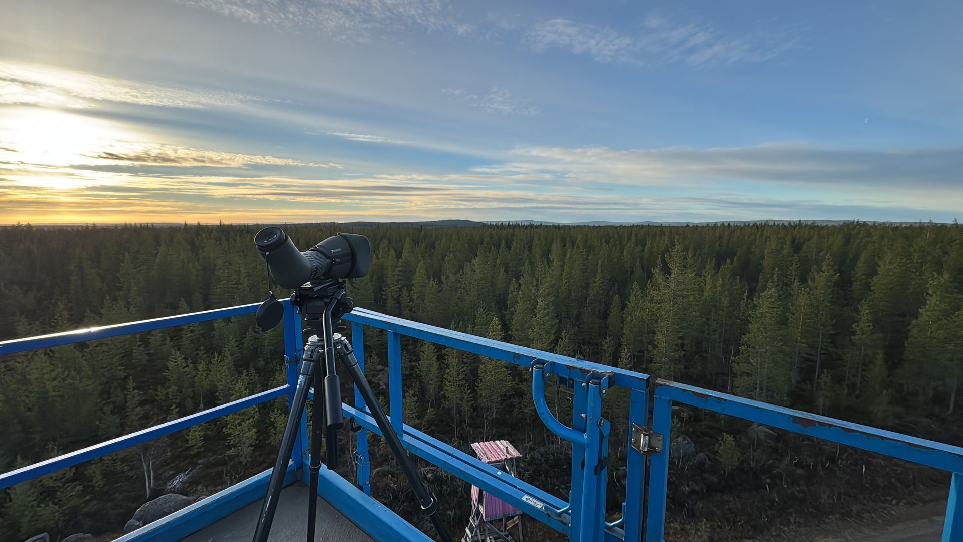 Linnustoselvitys nosturi