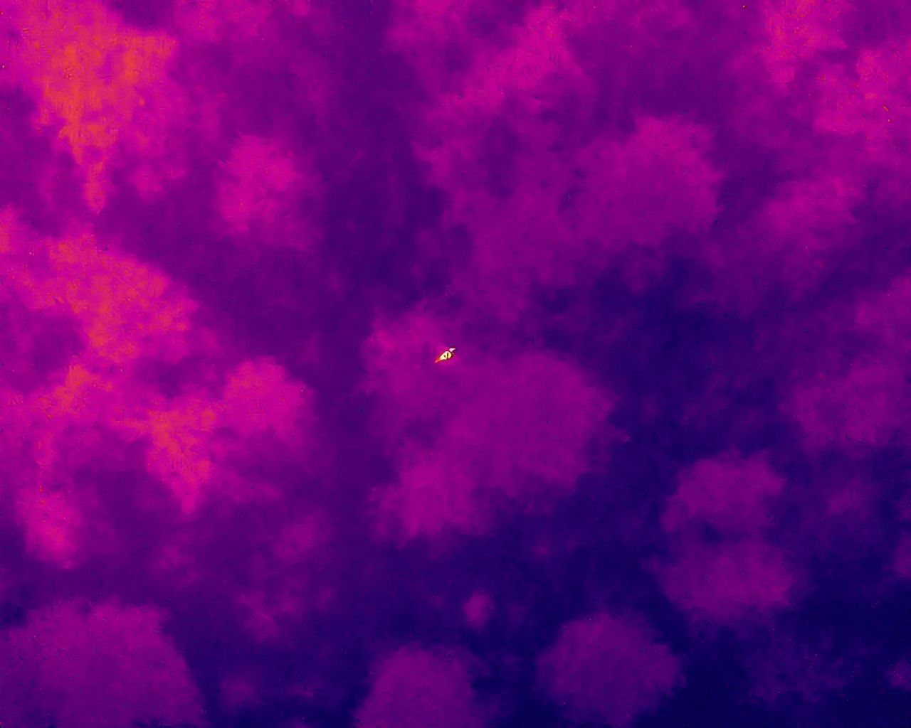 Metso lämpökameradrone