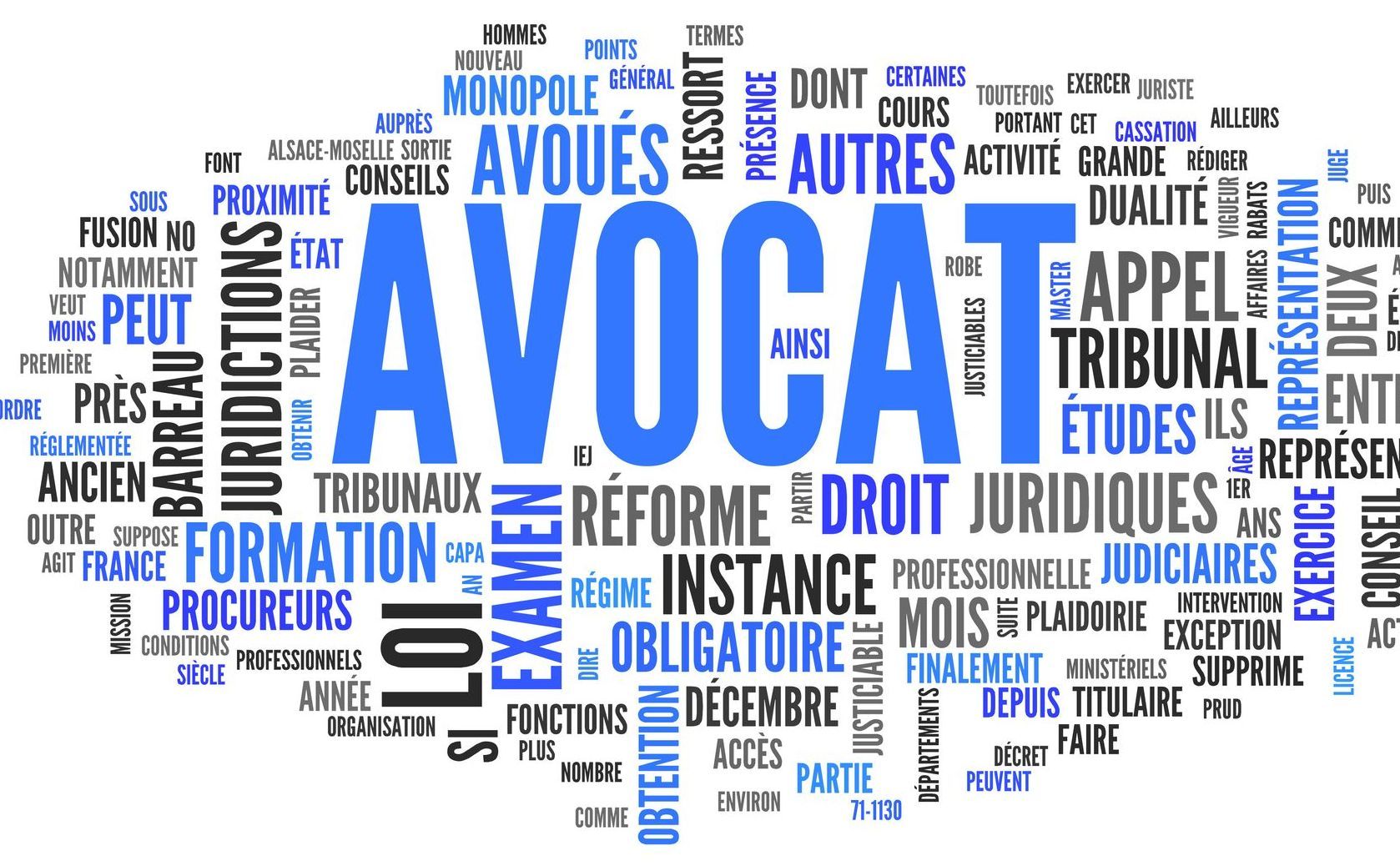 Nuage de mots : avocat et juridictions