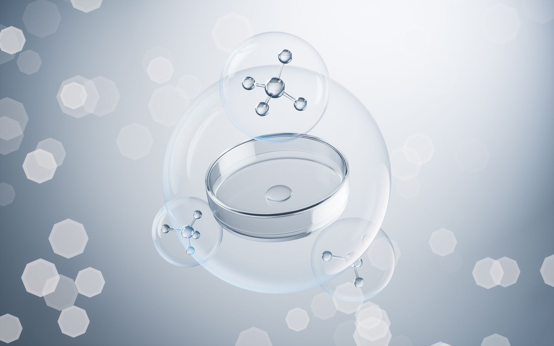 Una placa de Petri está rodeada de burbujas sobre un fondo gris.