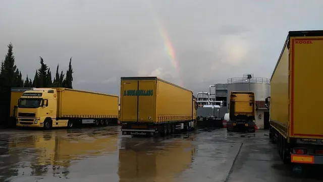 Una fila de camiones amarillos están estacionados en un estacionamiento con un arco iris en el cielo.