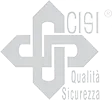 Un logotipo para una empresa llamada cisi quality security