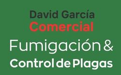Un fondo verde con texto blanco que dice David García Comercial.