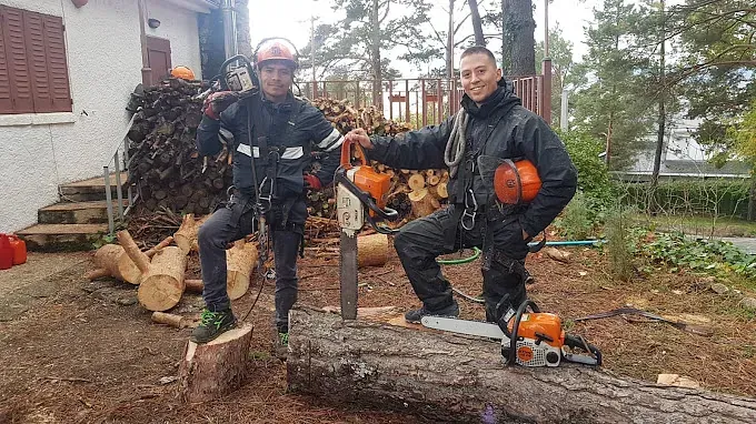Dos hombres están parados sobre un tronco con motosierras.