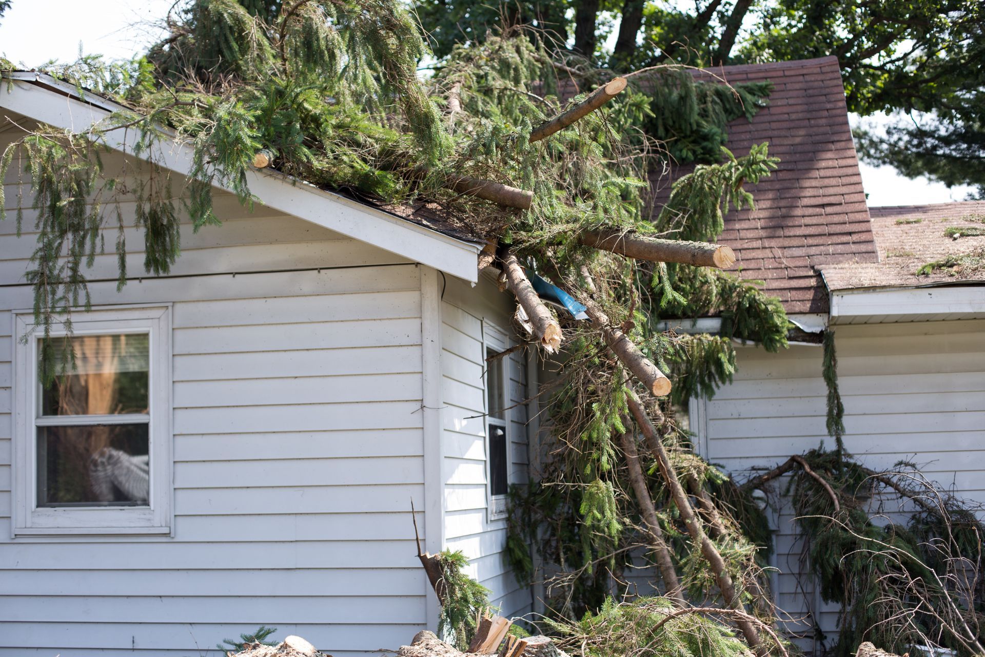 Suite à une tempête, un arbre s'est écroulé sur un toit