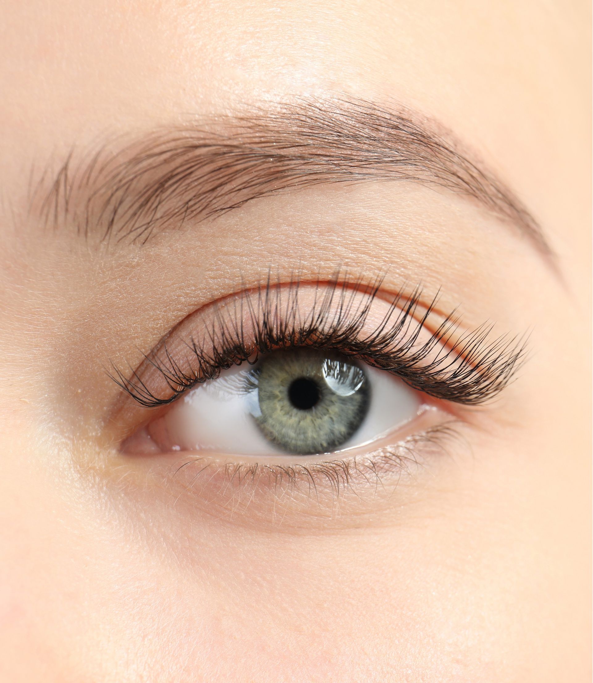 Gros plan sur un œil noisette maquillé et les sourcils soignés.