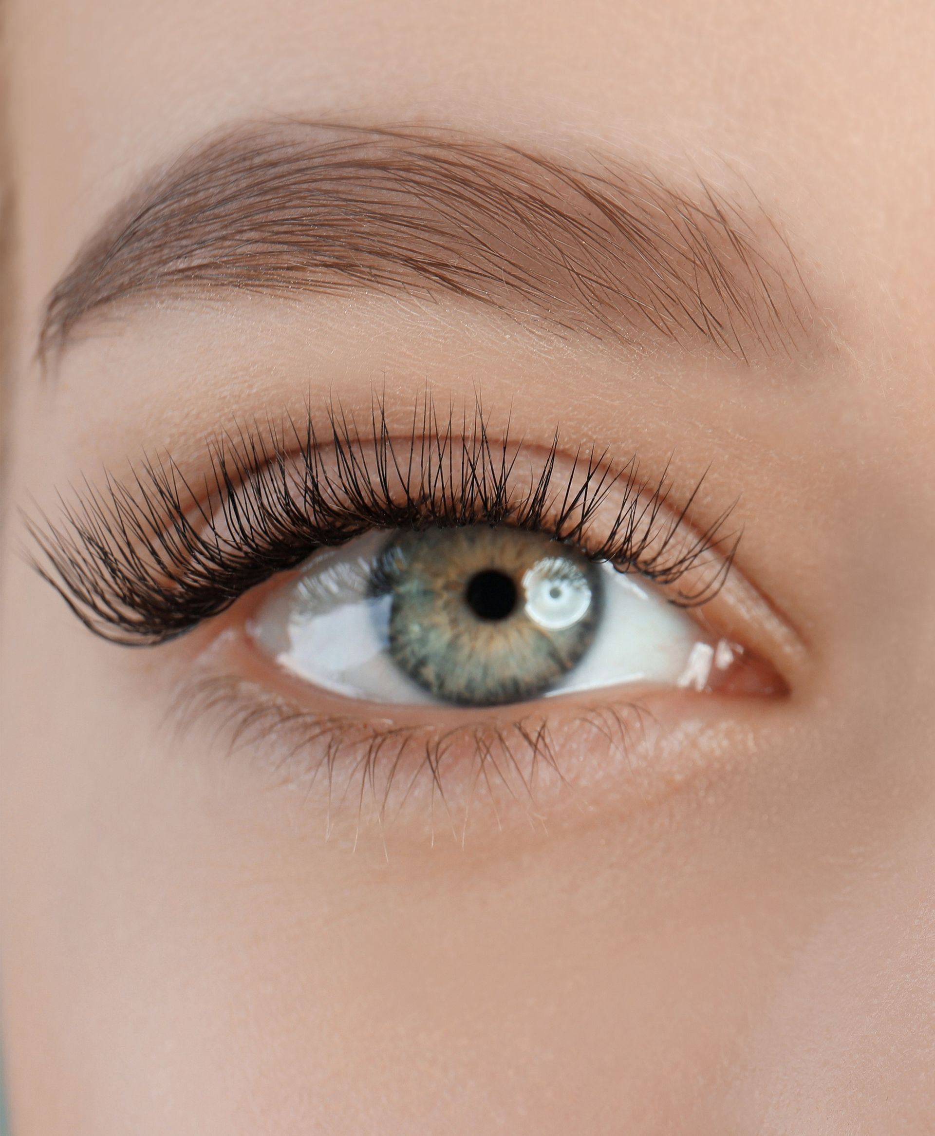 Gros plan sur un œil noisette aux longs cils recourbés et aux sourcils bien dessinés.