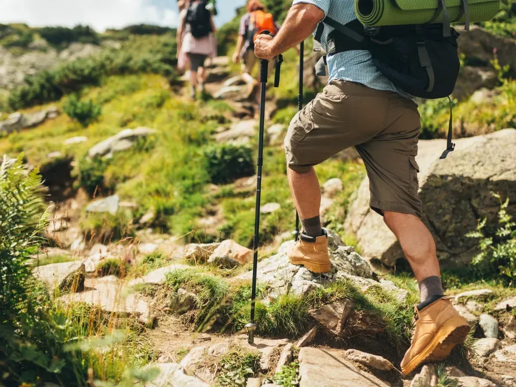 Senderistas ascienden por un sendero rocoso de montaña, usando bastones de trekking. Paisaje verde, día soleado.
