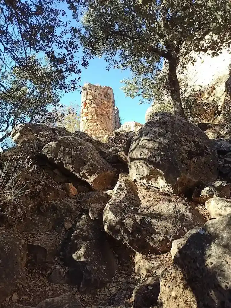 Torre de piedra en una ladera rocosa enmarcada por árboles, bajo un cielo azul brillante.