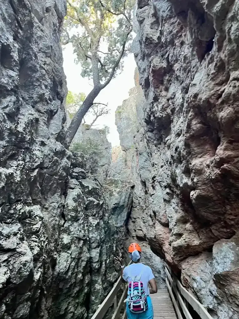 Una persona camina por una pasarela de madera a través de un profundo cañón con paredes rocosas.