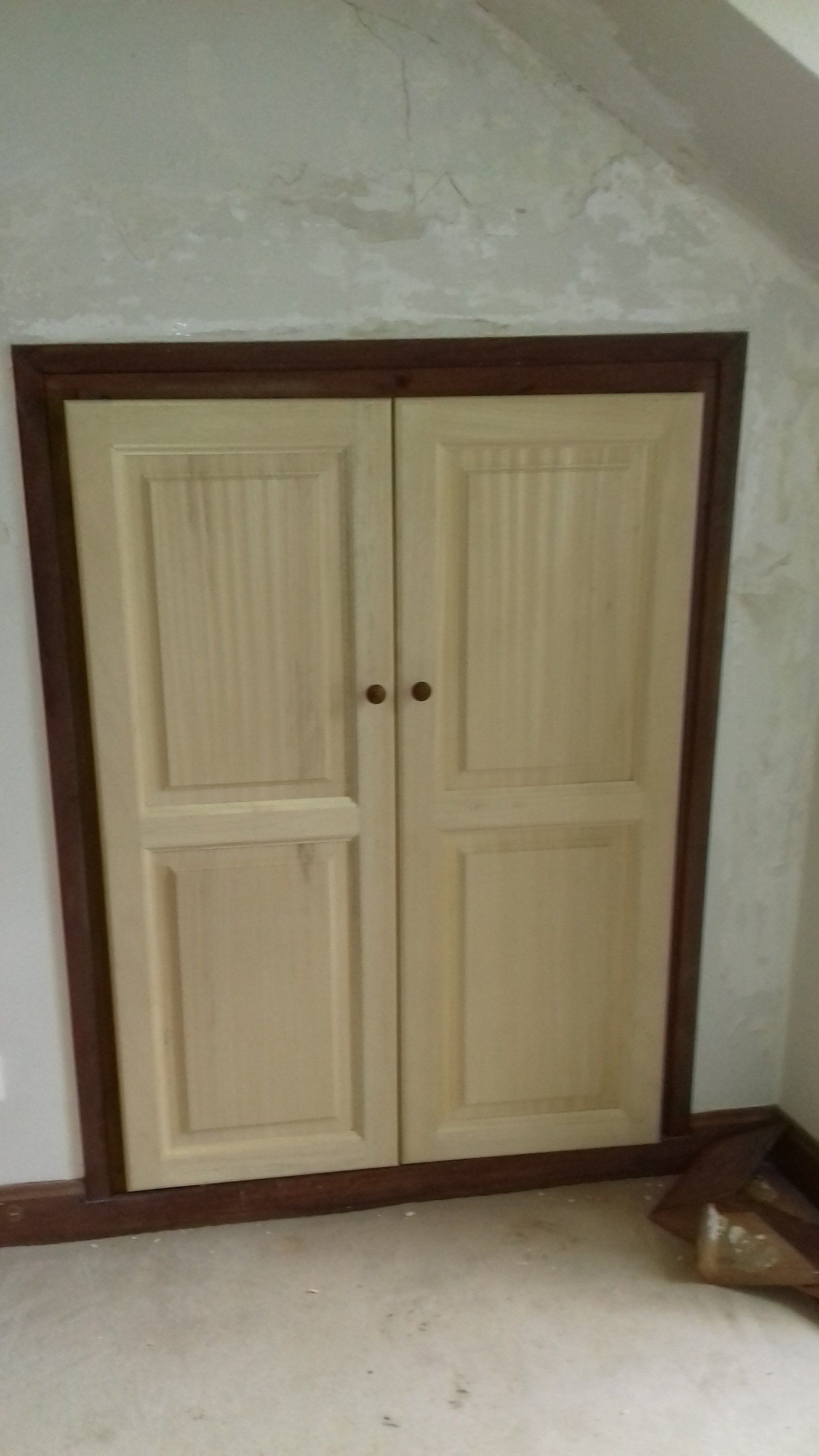 2 portes de placards en bois