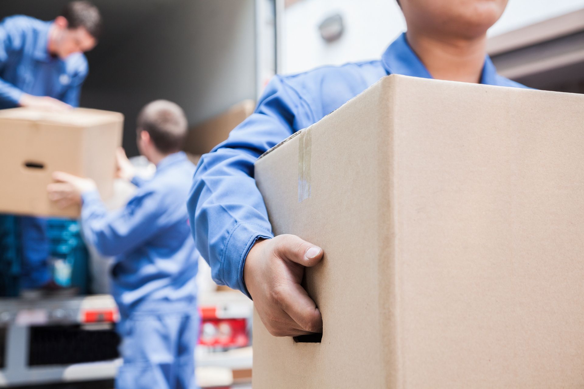 Déménageurs qui portent des cartons