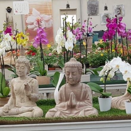 Vers page Article de décoration Des rangées de casse-noisettes se dressent dans un magasin décoré pour Noël, où l'on aperçoit des plantes et des ornements.
