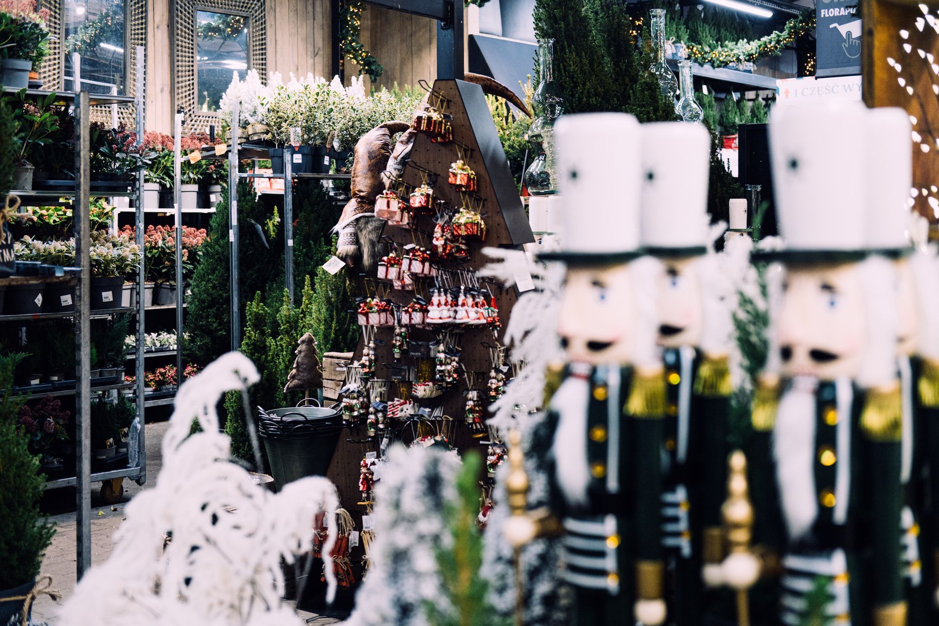 Des rangées de casse-noisettes se dressent dans un magasin décoré pour Noël, où l'on aperçoit des plantes et des ornements.