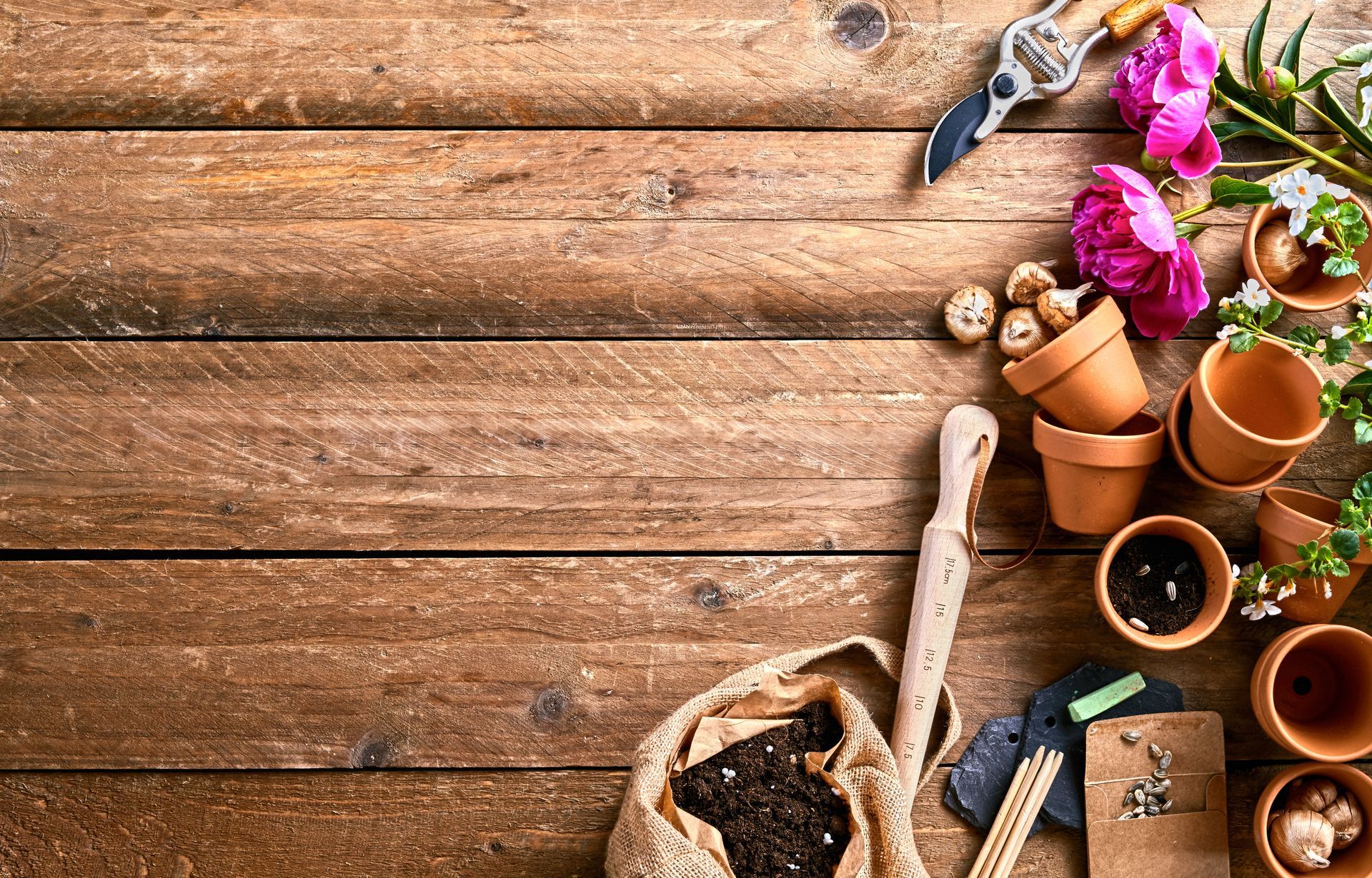 Table en bois avec outils de jardinage, terre et fleurs ; préparation pour les plantations.