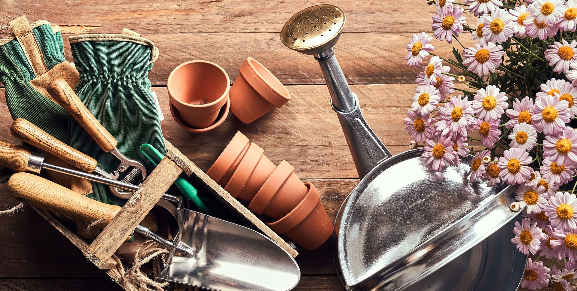 Outils de jardinage sur bois : gants, truelle, pots, arrosoir et fleurs.