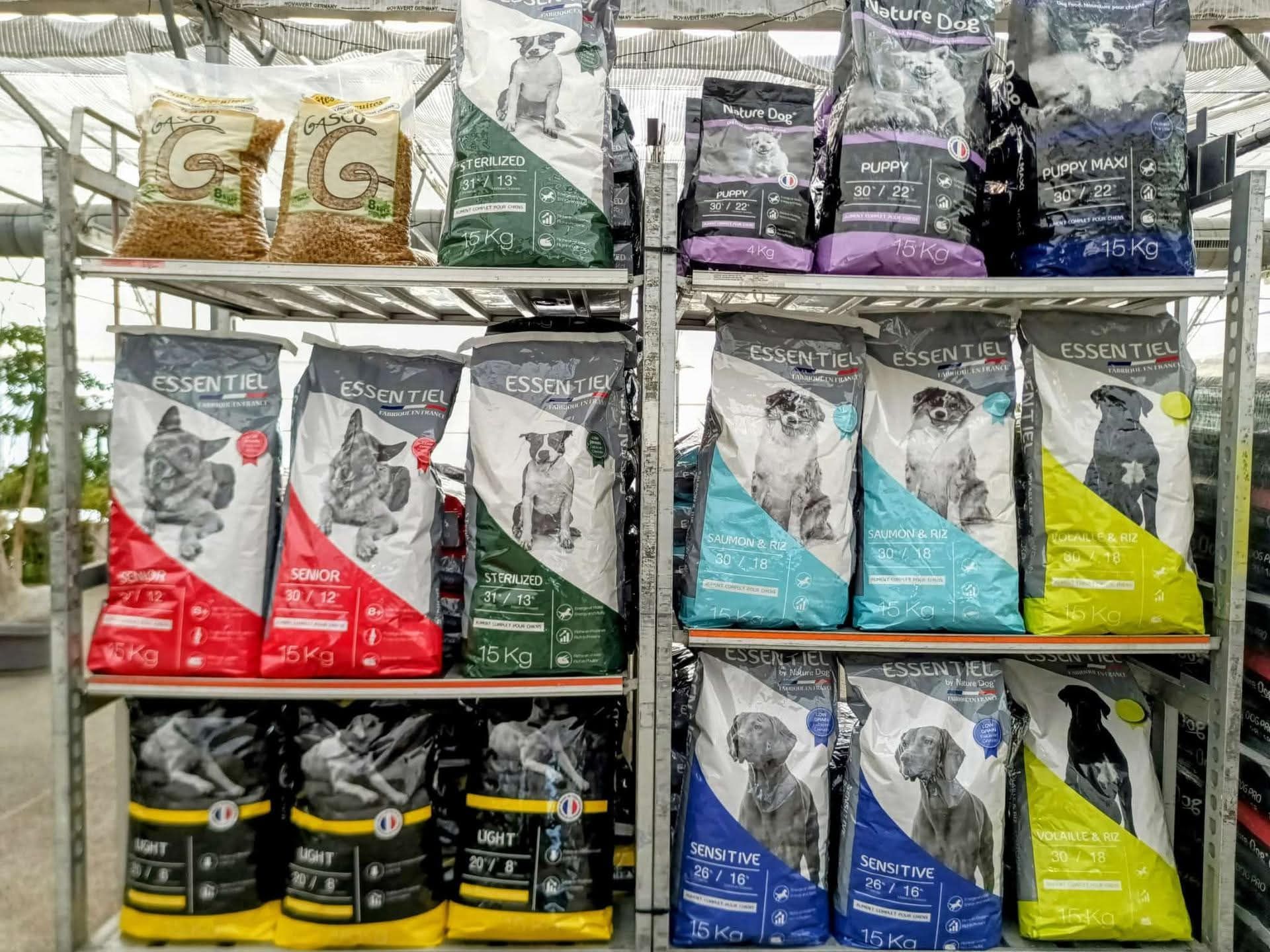 Présentoir avec croquettes pour chien