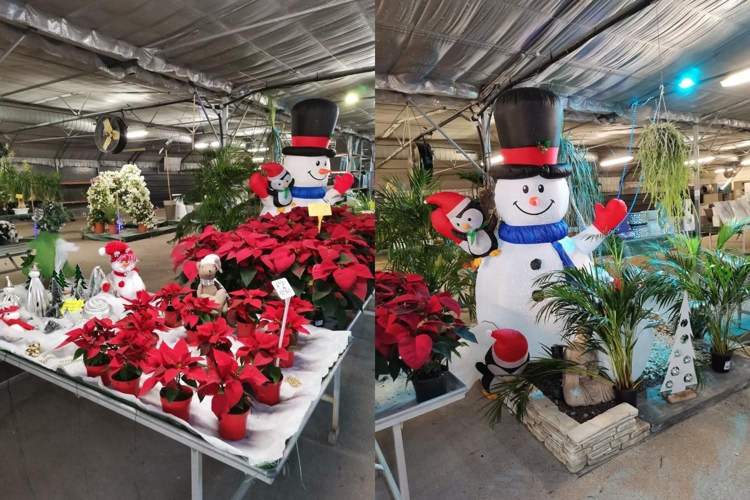 Décoration et fleurs dans la boutique