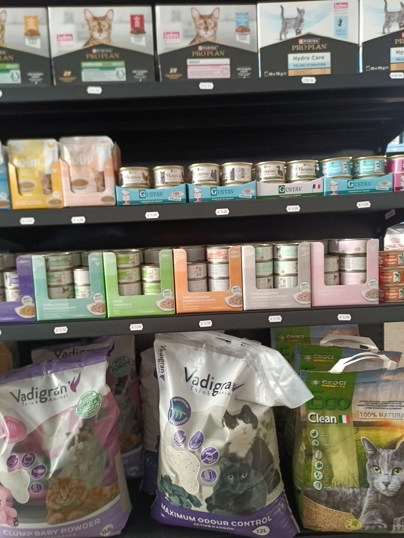 Présentoir avec croquettes pour chien