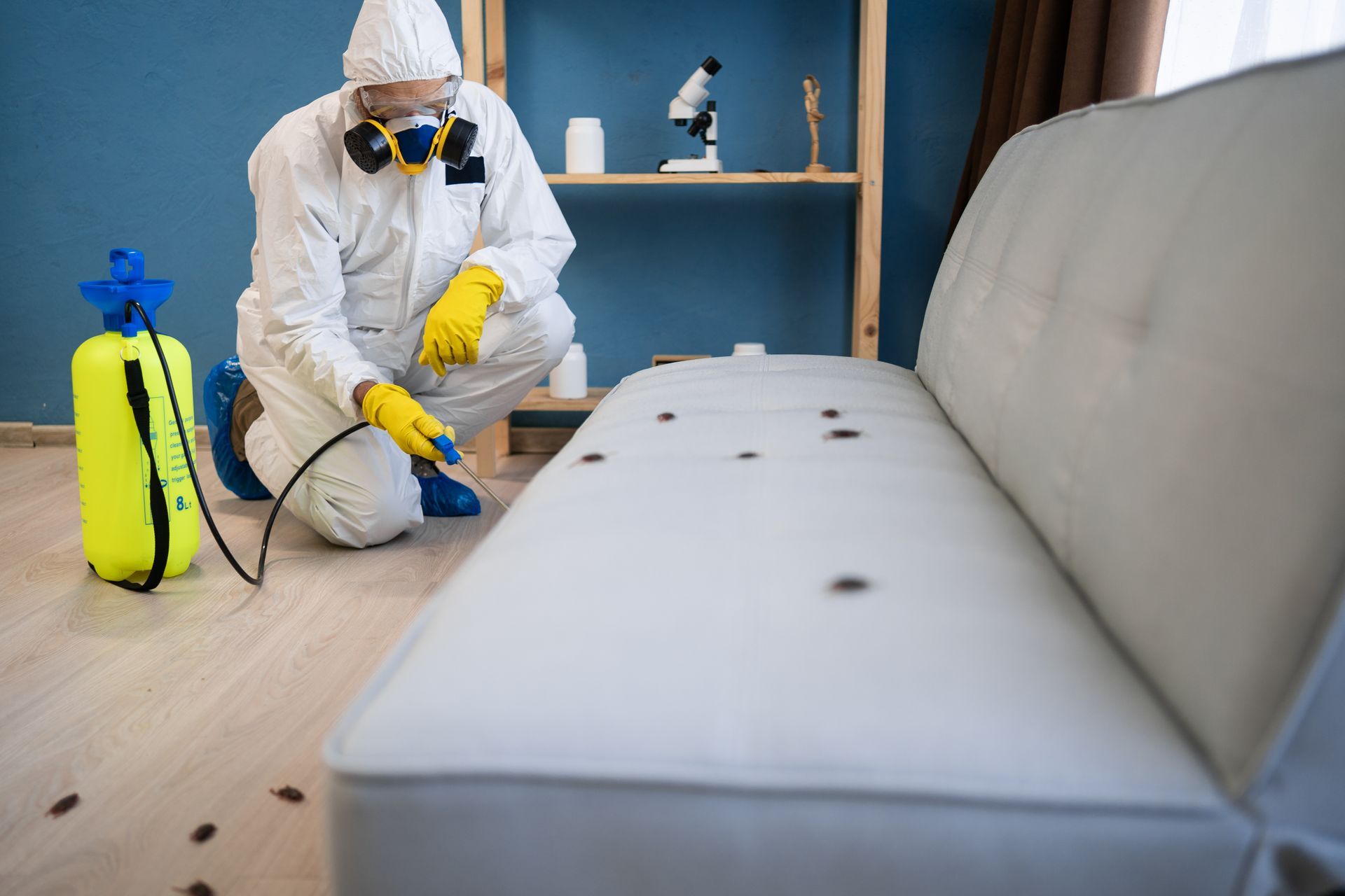 Une personne en combinaison de protection pulvérise un canapé infesté d'insectes à l'intérieur d'un bâtiment.