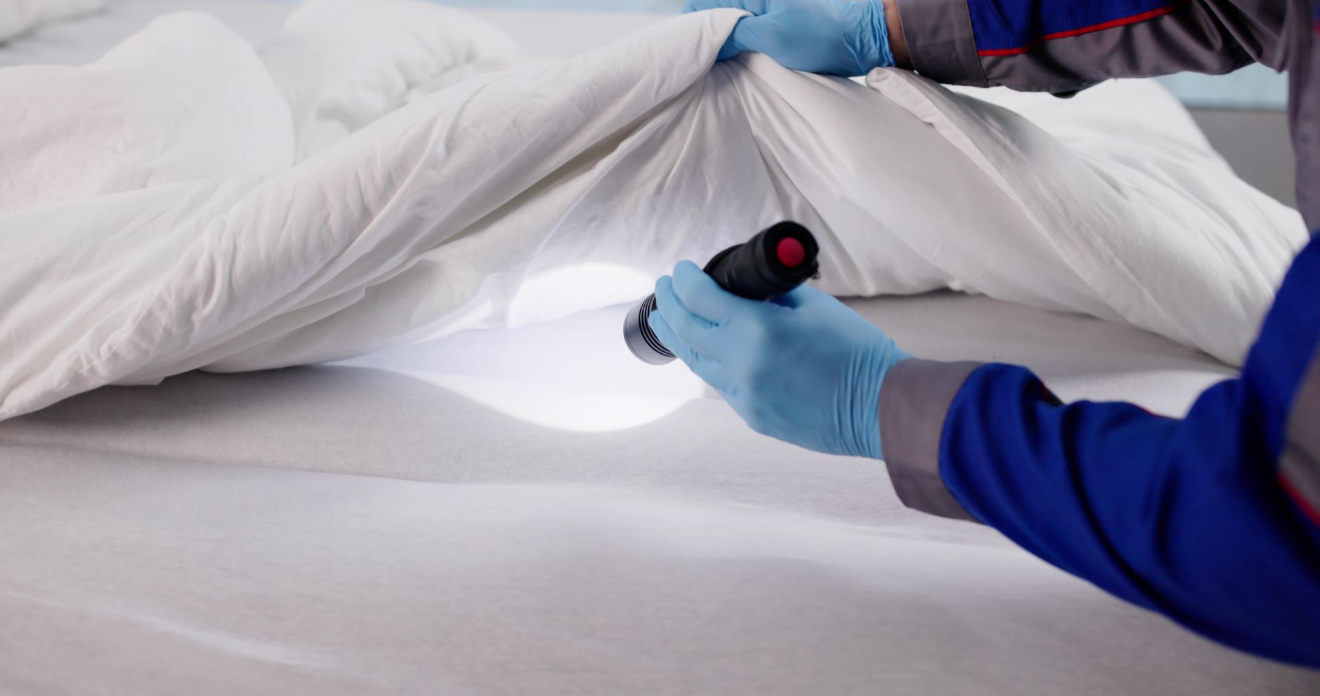 Une personne portant des gants bleus utilise une lampe de poche pour inspecter un drap blanc.