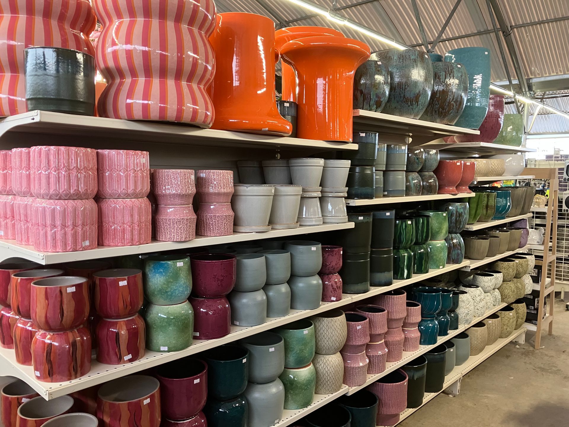 Les rayons d'un magasin regorgent de pots de fleurs en céramique de couleurs, de tailles et de formes variées.
