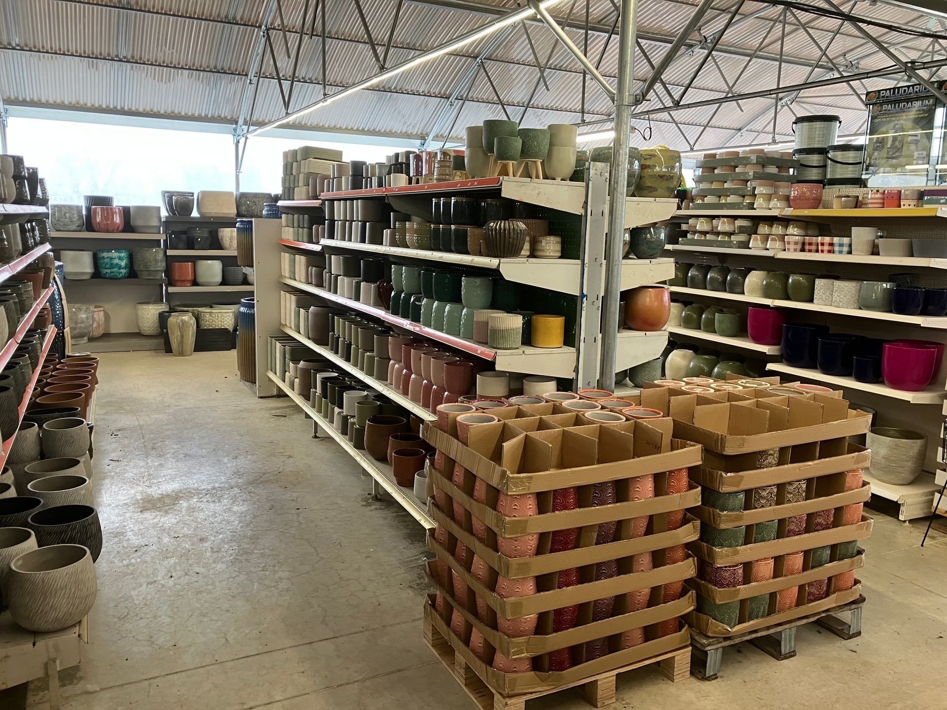 Des étagères et des palettes en bois remplies d'une grande variété de pots de fleurs colorés se trouvent à l'intérieur d'une serre de jardinerie.