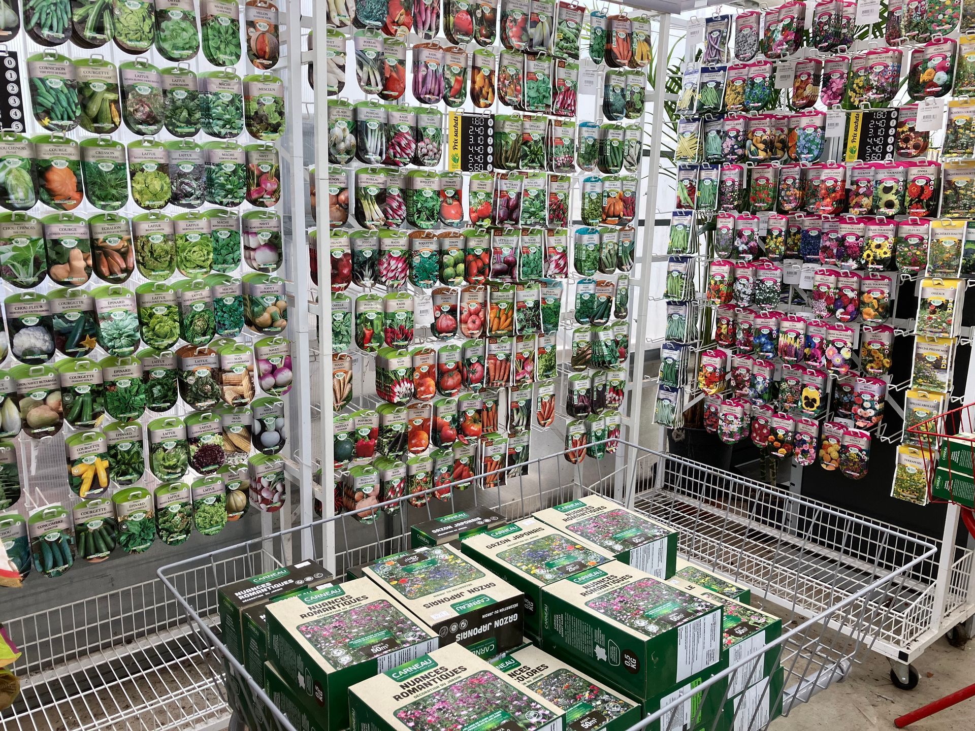 Un présentoir de vente au détail rempli de rangées de sachets de graines assortis dans un magasin.