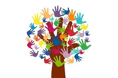 Voluntariado Voluntariado