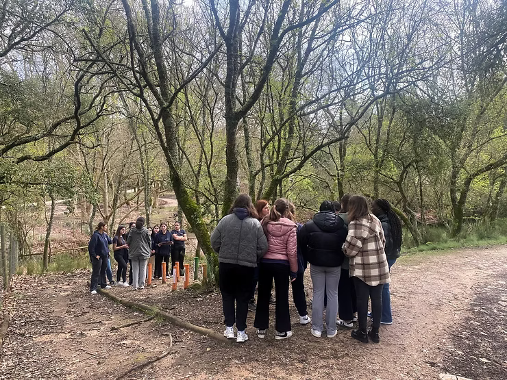 Grupo de pessoas em pé numa trilha arborizada em uma floresta sem folhas, vistas de costas.