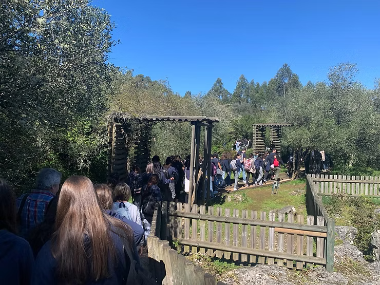 Pessoas caminhando por um arco de madeira em um jardim, em uma trilha ensolarada, cercadas por cercas e árvores.