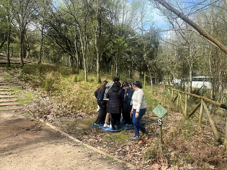 Grupo de pessoas em pé numa trilha na mata, ao lado de uma cerca, olhando para algo no chão.