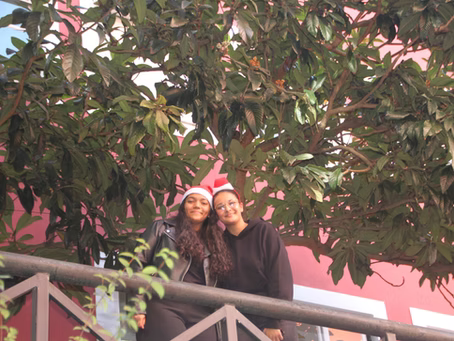 Duas pessoas posando atrás de uma grade sob uma árvore frondosa