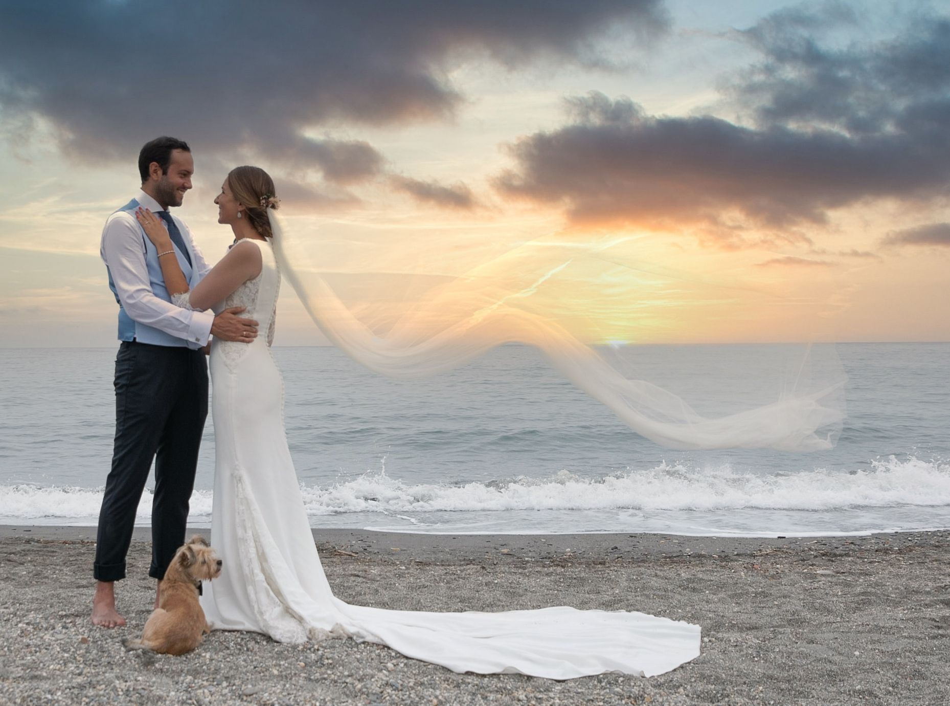 Una novia y un novio están de pie en la playa con un perro.