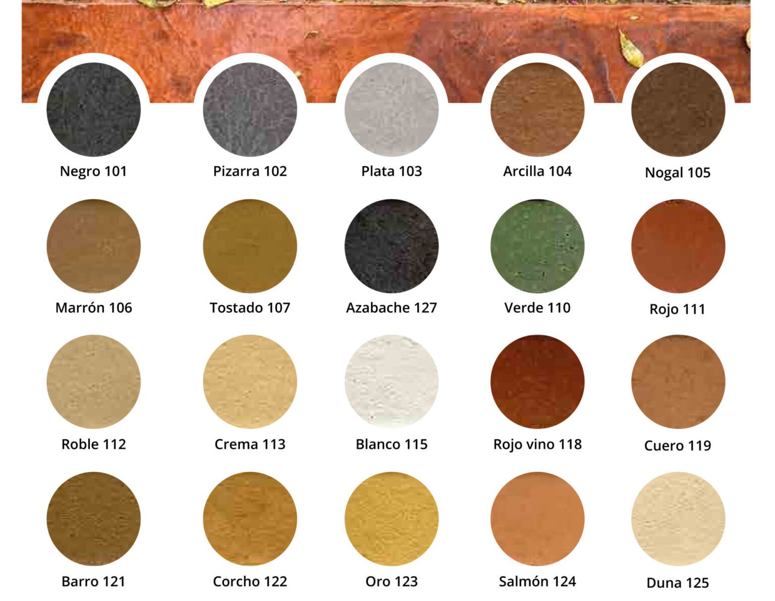 Hormigón Impreso DC | Colores para Hormigón