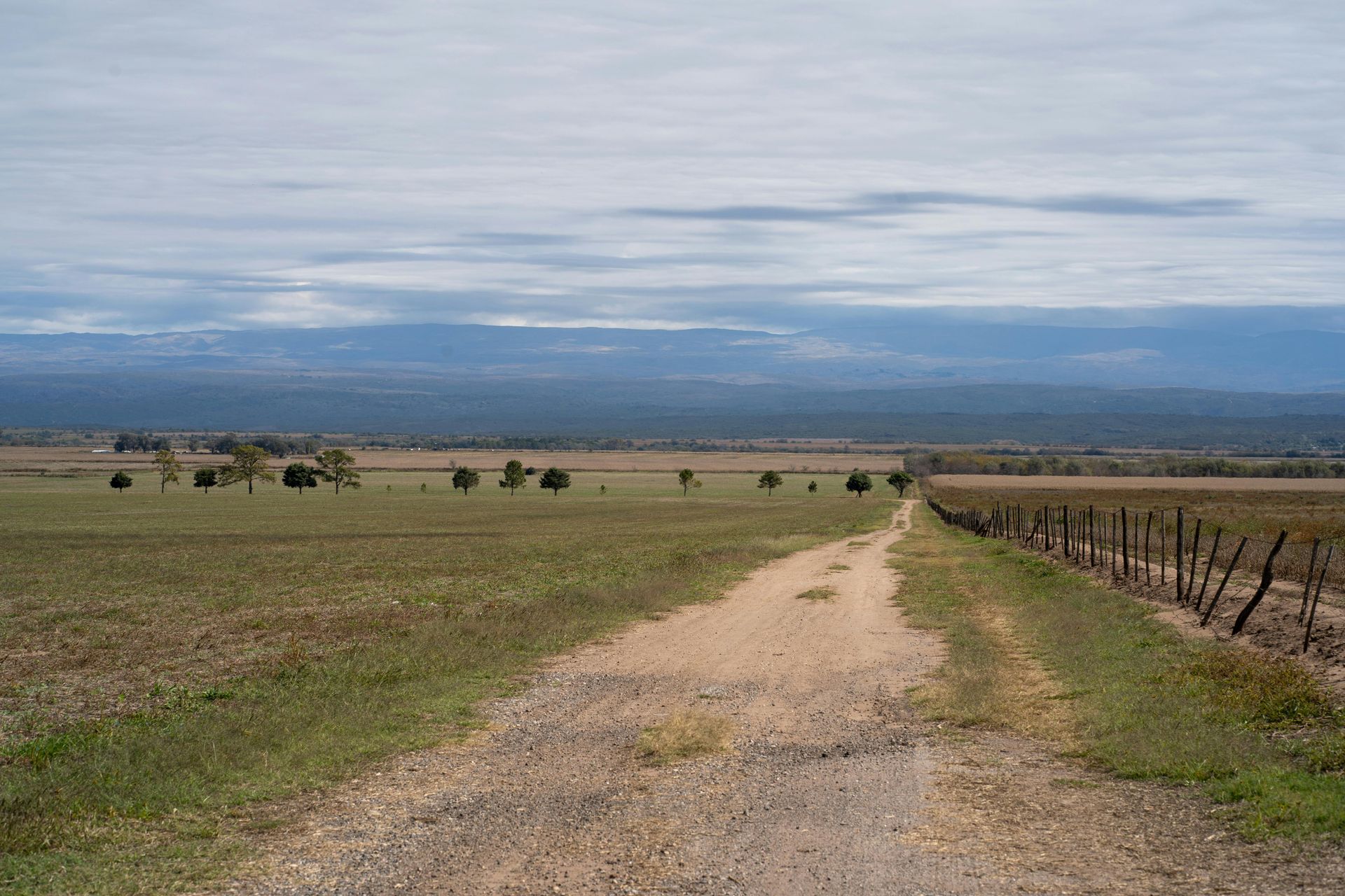 Camino de tierra a través de un campo, árboles y una cadena montañosa lejana bajo un cielo nublado.
