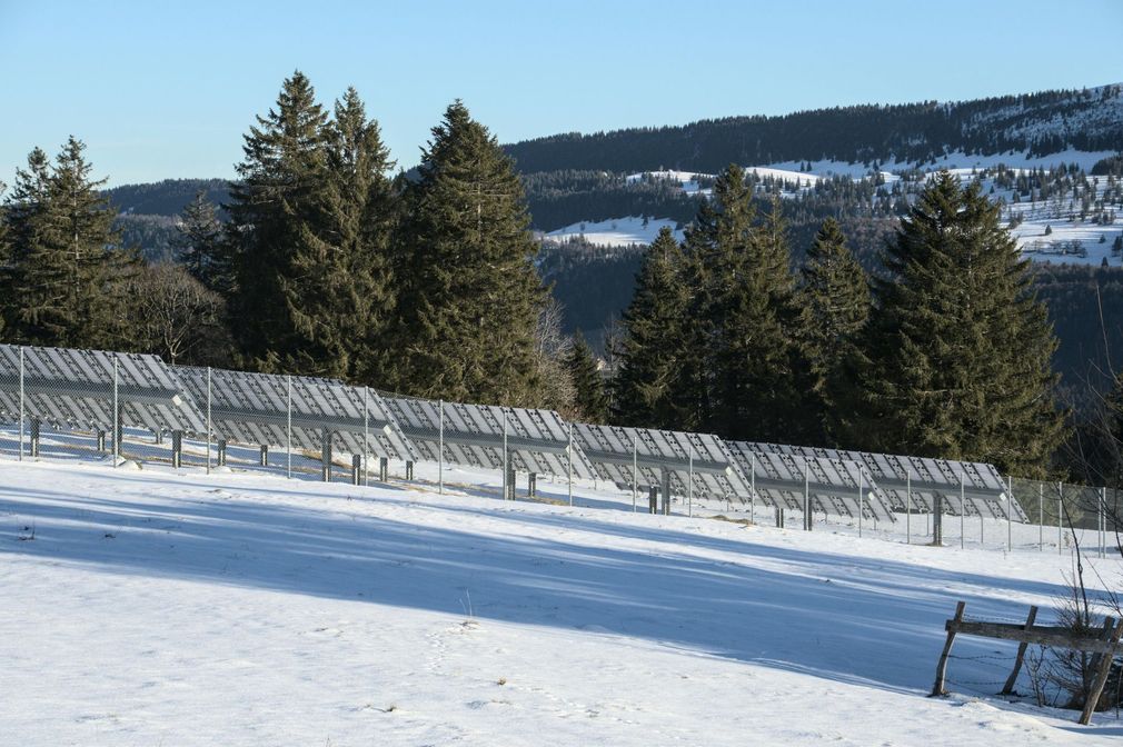 Paneles solares en un paisaje de montaña nevada, árboles al fondo.