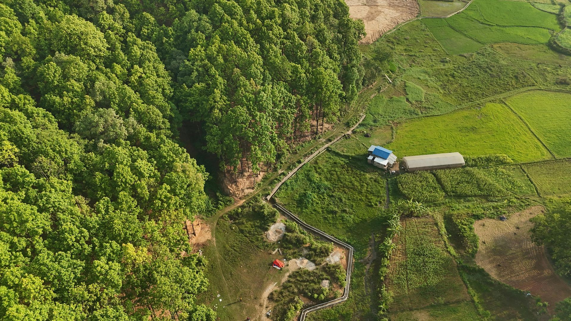 Un exuberante bosque verde se encuentra con campos cultivados y una casa; vista aérea.