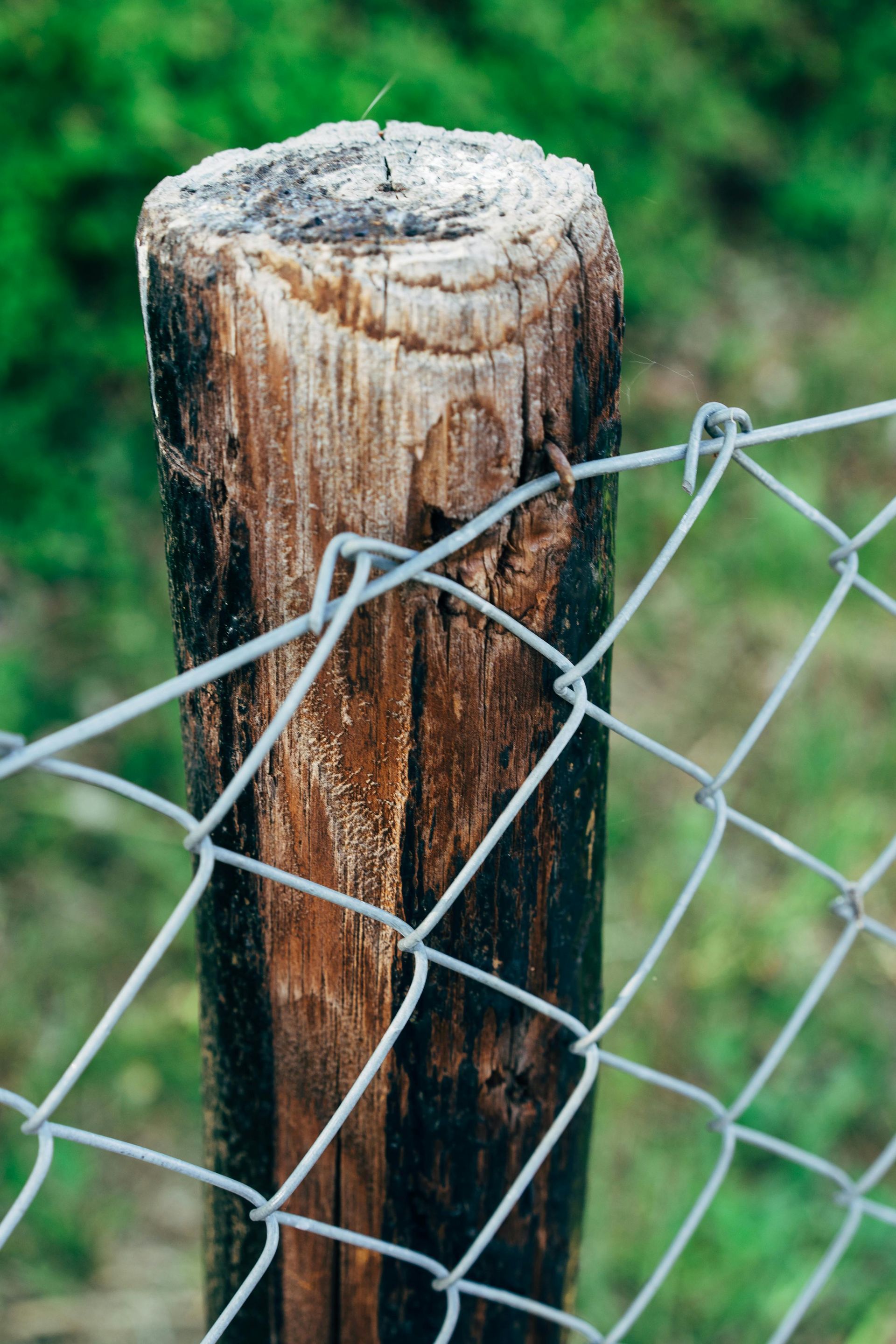 Poste de cerca de madera con parte superior desgastada y cerca de alambre de cadena en un campo de hierba.