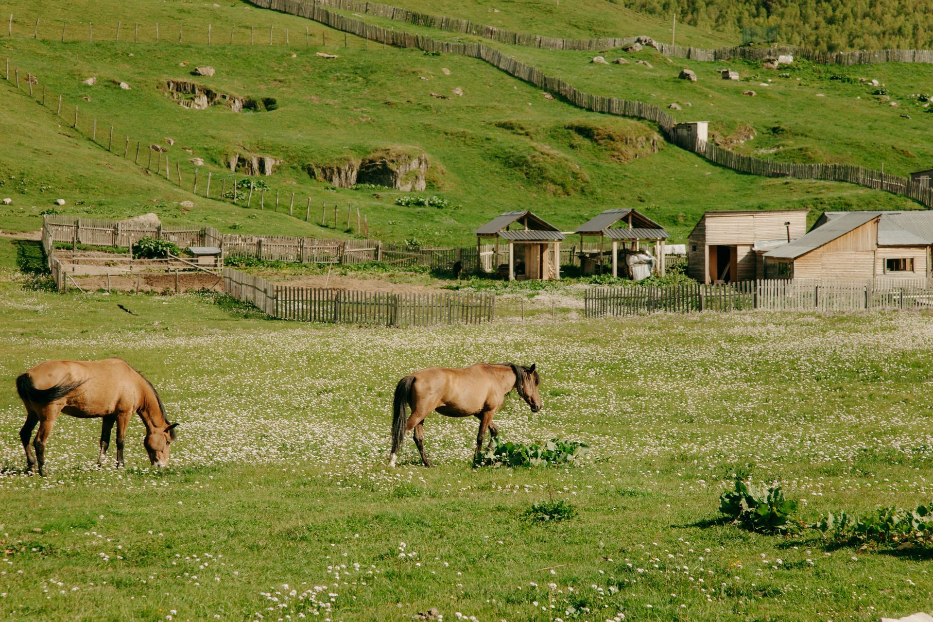 Dos caballos marrones pastando en un prado verde con pequeños edificios y una ladera al fondo.