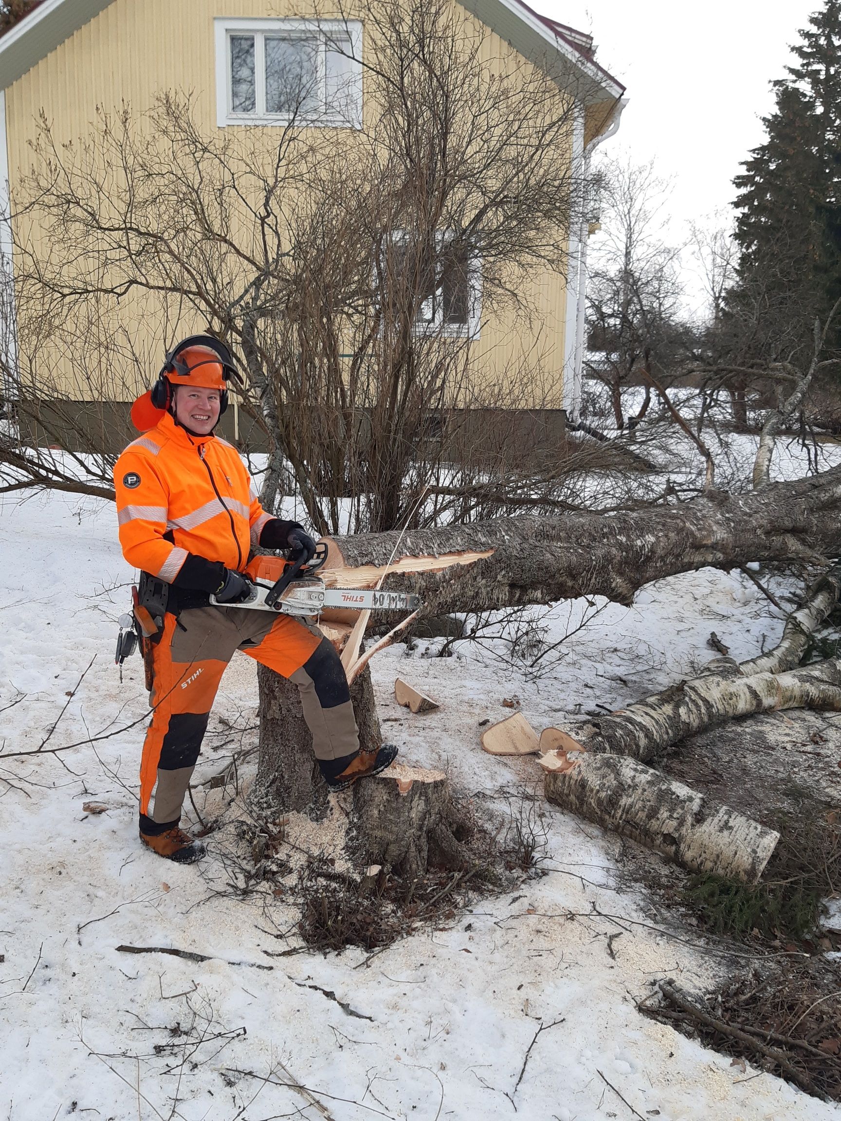 Vaativat ongelmapuunkaadot ja kiipeilytekniikat ammattitaidolla – Härmä Forest.