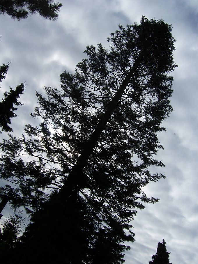 Seilklettertechnik - Kleine Boymann
