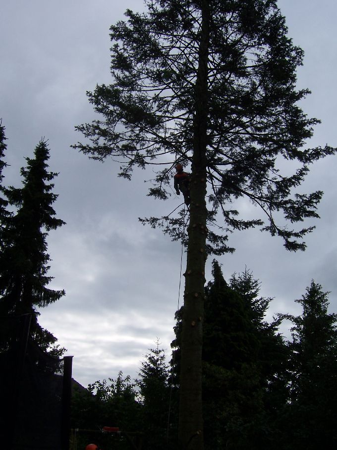 Seilklettertechnik - Kleine Boymann