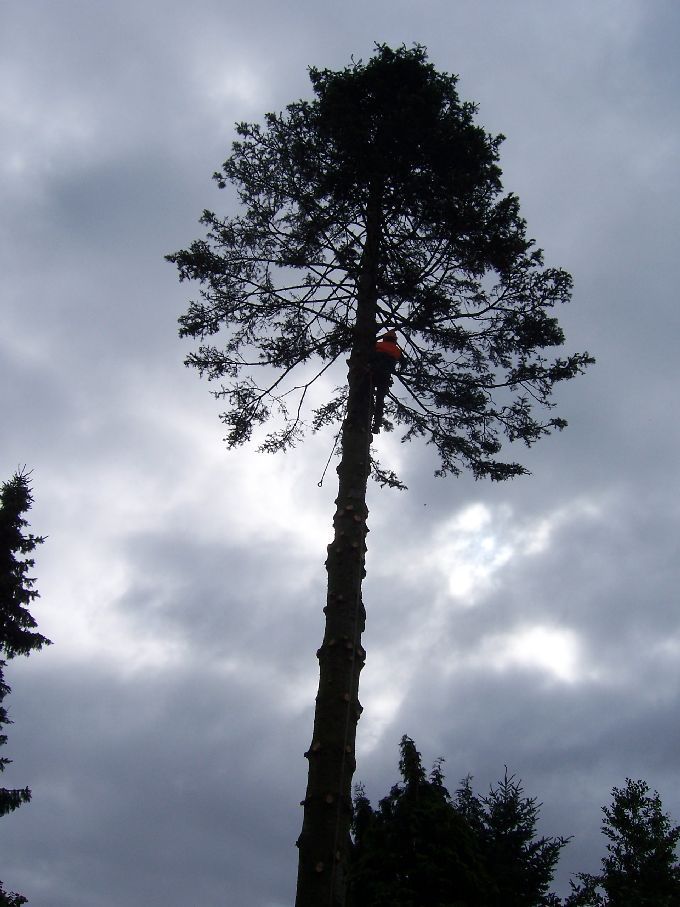 Seilklettertechnik - Kleine Boymann