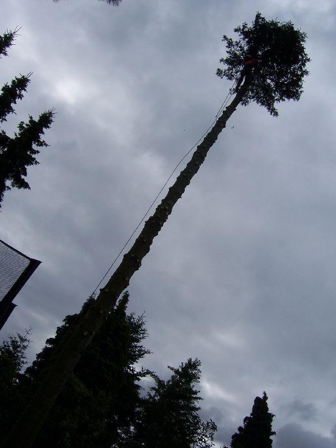 Seilklettertechnik - Kleine Boymann