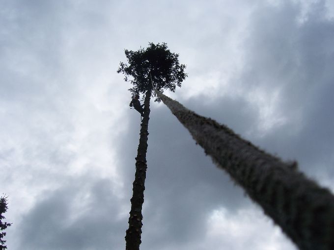 Seilklettertechnik - Kleine Boymann