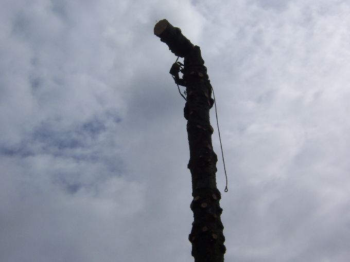 Seilklettertechnik - Kleine Boymann